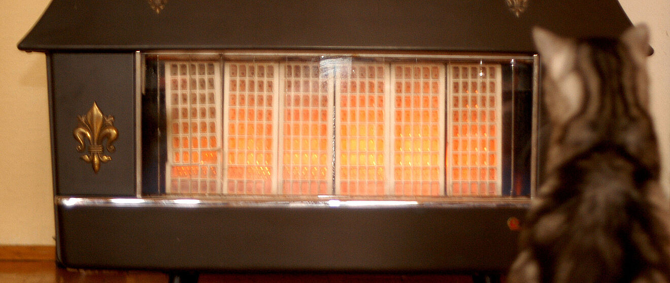 Ein schwarzer Gasofen mit glühenden, orangefarbenen Heizelementen steht auf einem Holzboden. Auf der rechten Seite sitzt eine grau-schwarz gemusterte Katze mit dem Rücken zur Kamera und schaut in den Ofen.