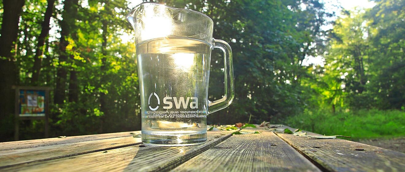 Gefüllter swa Wasserkrug steht im Wald auf einem Holztisch