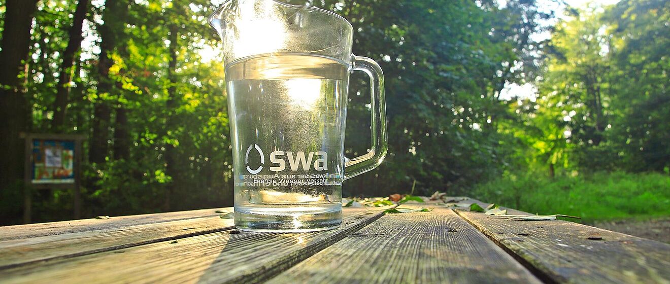Gefüllter swa Wasserkrug steht im Wald auf einem Holztisch