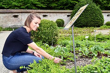 Frau betrachtet Kräuter, - Ein Klick auf das Bild führt zur vergrößerten Fotoansicht.