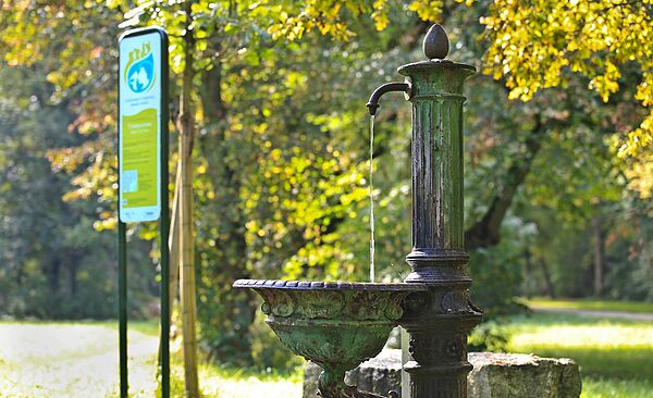 Wasser_Wald_Trinkwasserbrunnen.jpg