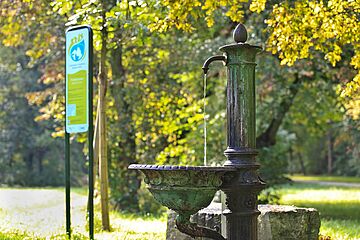 Wasser_Wald_Trinkwasserbrunnen.jpg