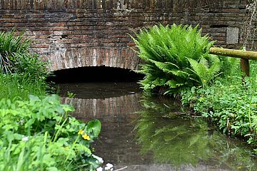 Wassergraben, - Ein Klick auf das Bild führt zur vergrößerten Fotoansicht.