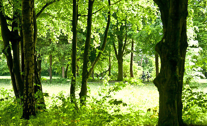 Bäume im Stadtwald. Im Hintergrund fahren Leute Fahrrad.