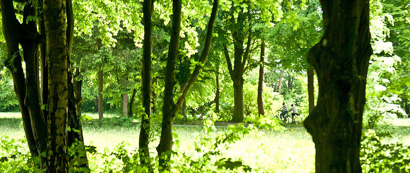 Bäume im Stadtwald. Im Hintergrund fahren Leute Fahrrad.