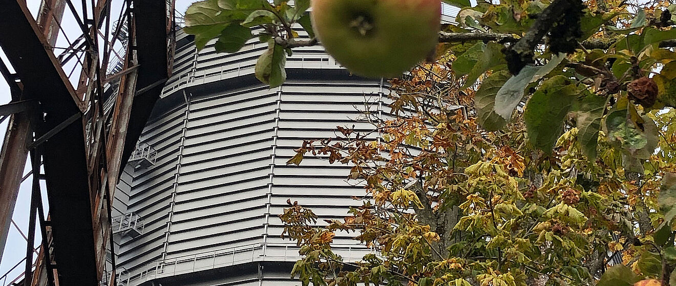 Nahaufnahme eines Apfelbaums vor dem Gaswerk. Weiterverlinkung auf Gaswerk blüht auf Newsartikel