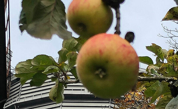 2019_10_22_Gaswerk_Herbst_03.jpg