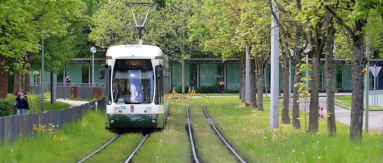 Straßenbahn auf Schienen. Ist von Bäumen umgeben. Weiterverlinkung auf die swa Bus & Tram-Seite