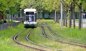 Straßenbahn auf Schienen. Ist von Bäumen umgeben. Weiterverlinkung auf die swa Bus & Tram-Seite