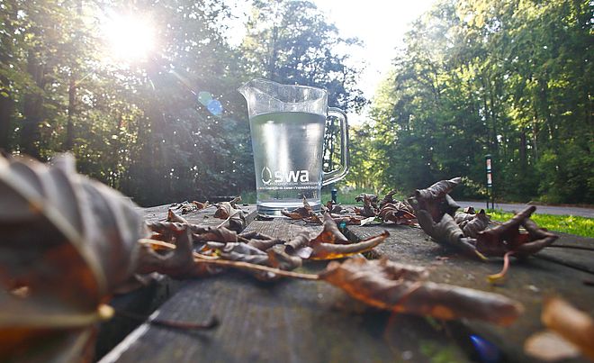 Im Vordergrund auf einer rustikalen Holzoberfläche liegen verstreut braune, vertrocknete Blätter, die ein herbstliches Ambiente schaffen. Im zentralen Bereich steht eine klare Glaskaraffe, gefüllt mit Wasser, die das Logo "swa" der Stadtwerke Augsburg trägt.