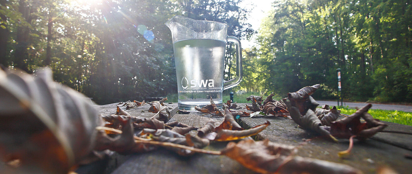 Im Vordergrund auf einer rustikalen Holzoberfläche liegen verstreut braune, vertrocknete Blätter, die ein herbstliches Ambiente schaffen. Im zentralen Bereich steht eine klare Glaskaraffe, gefüllt mit Wasser, die das Logo "swa" der Stadtwerke Augsburg trägt.