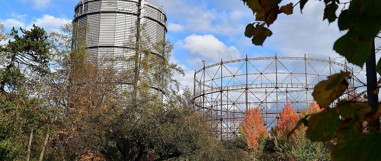 Bäume mit Herbstlaub vor dem Gaswerk. Weiterverlinkung auf Herbst am Gaswerk Newsartikel