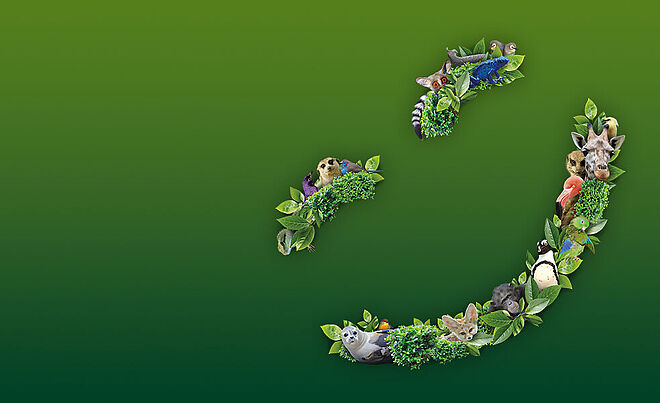 Lachender Smiley geformt aus verschiedenen Tieren und Pflanzen