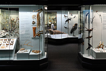 2019_02_25_Naturkundemuseum_13.jpg