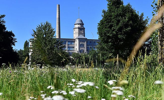 Der Glaspalast in Augsburg umgeben von Gras und Bäumen.