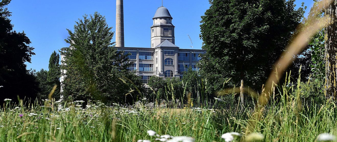 Der Glaspalast in Augsburg umgeben von Gras und Bäumen.