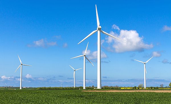 Wiese mit fünf Windrädern