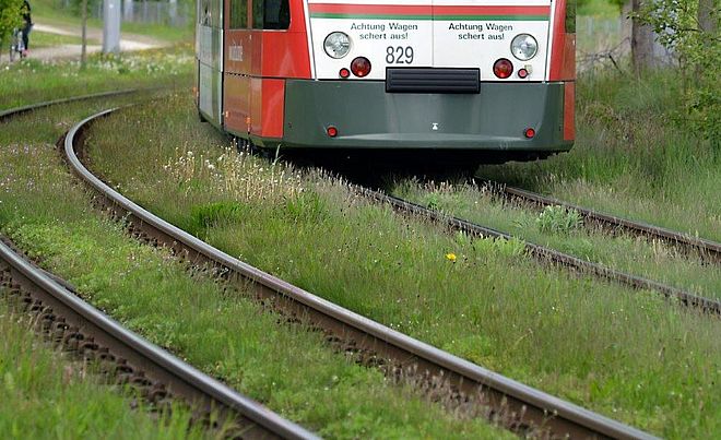 Nahaufnahme von Straßenbahnschienen in einer Wiese. Rechts fährt eine Straßenbahn.