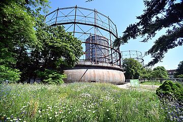 2021_06_11_Gaswerk_Bluehbrache_03_klein.jpg