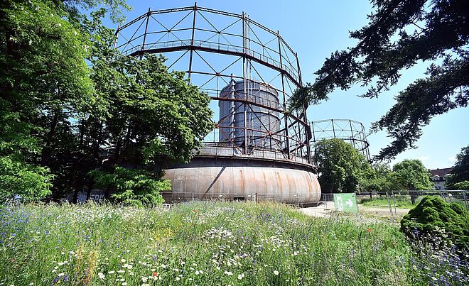 Grüne Wiese auf dem Gaswerksgelände. Im Hintergrund ist das Gaswerk. Ein Klick sorgt für eine Großansicht des Bildes. Weiterverlinkung auf Gaswerk Natur Kund und Kultur Newsartikel
