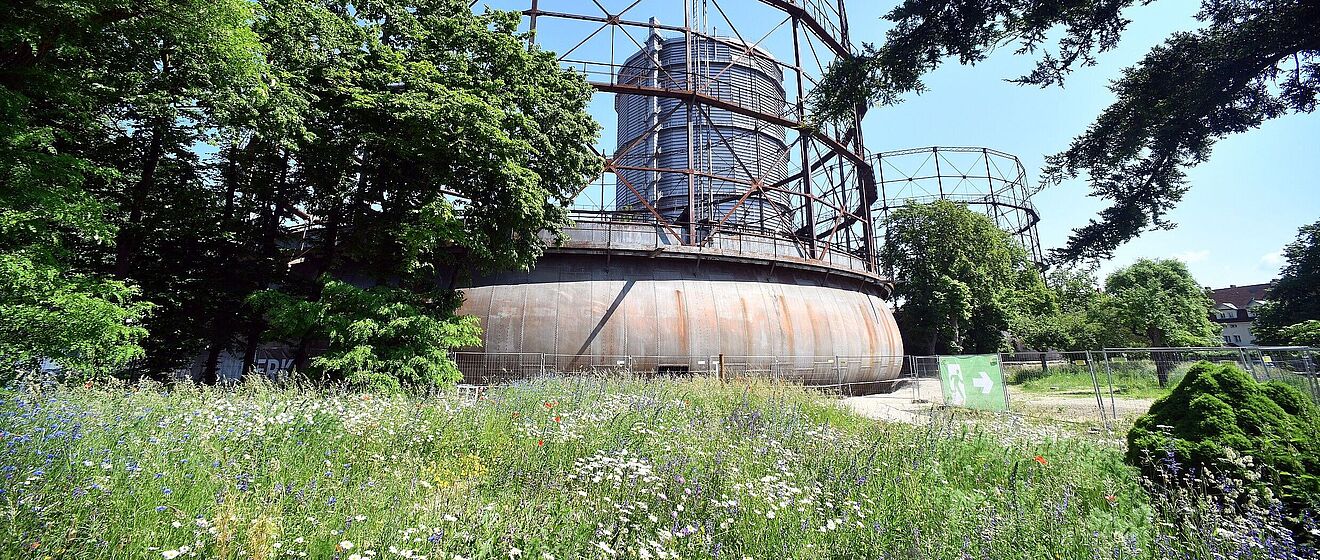 Grüne Wiese auf dem Gaswerksgelände. Im Hintergrund ist das Gaswerk. Ein Klick sorgt für eine Großansicht des Bildes. Weiterverlinkung auf Gaswerk Natur Kund und Kultur Newsartikel
