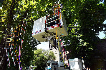 Himmelsleitern die an einer Schnur zwischen zwei Baumkronen befestigt sind und von einem Mann auf einer Hebebühne aufgehängt werden. - Beim anklicken wird das Bild vergrößert.