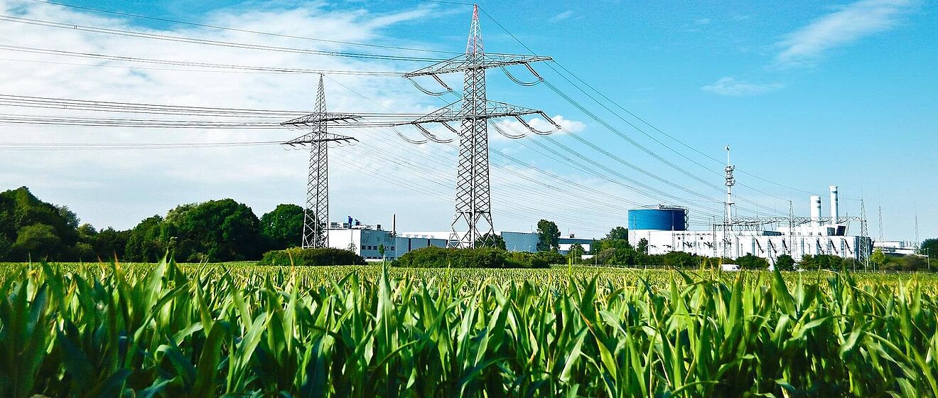 Strommäste auf einem Maisfeld und im Hintergrund das Stadtwerke Augsburg Biomasse-Heizkraftwerk.