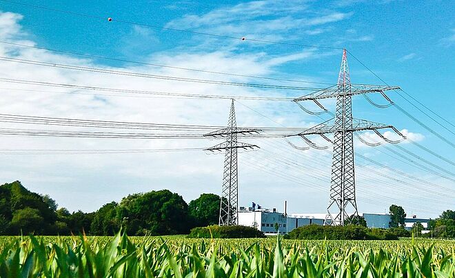 Strommäste auf einem Maisfeld und im Hintergrund das Stadtwerke Augsburg Biomasse-Heizkraftwerk.