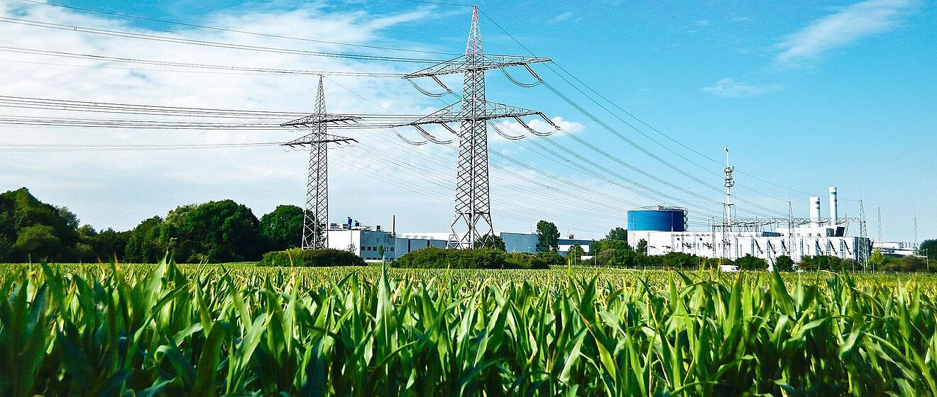 Strommäste auf einem Maisfeld und im Hintergrund das Stadtwerke Augsburg Biomasse-Heizkraftwerk.