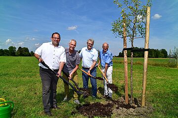 Vier Personen halten jeweils eine mit Erde gefüllte Schaufel und Pflanzen gemeinsam einen Baum. Ein Klick auf das Bild sorgt für eine Großansicht