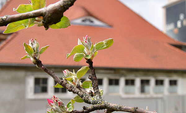 Garagengebäude auf dem Gaswerkgelände. Im Vordergrund sind Zweige. Weiterverlinkung auf zweite Gastronomie Newsartikel