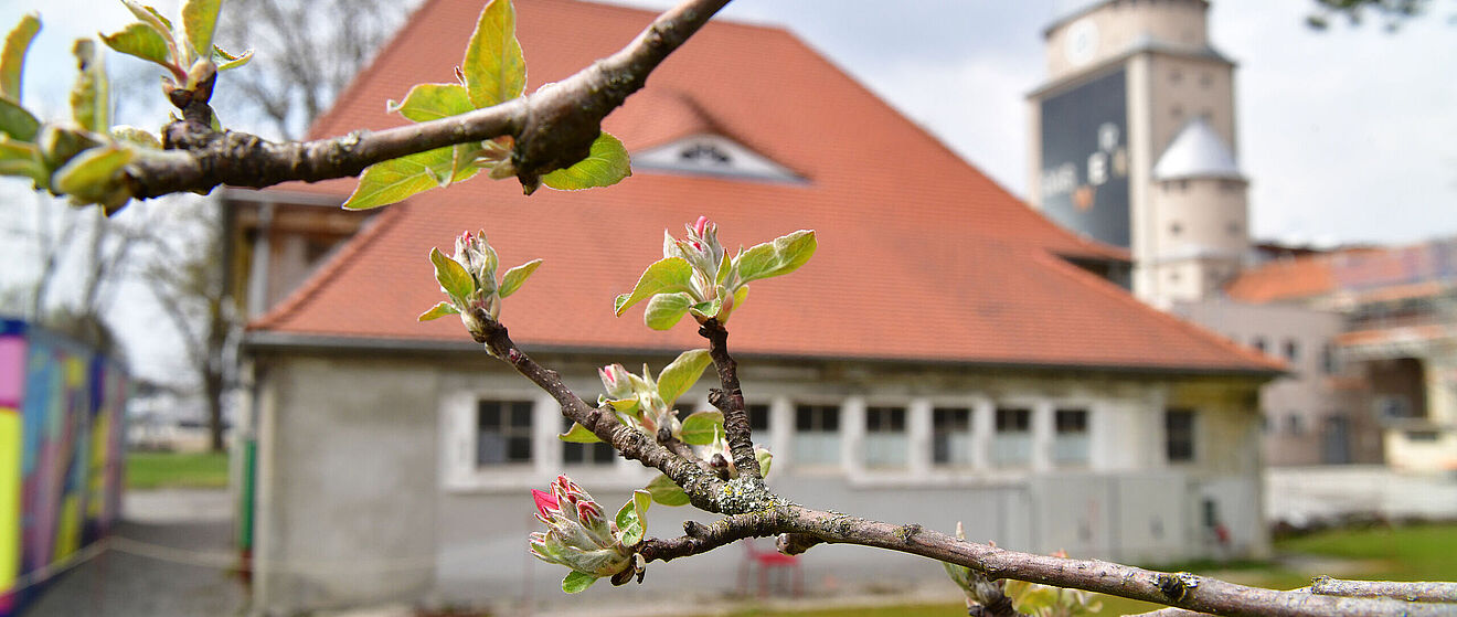 Garagengebäude auf dem Gaswerkgelände. Im Vordergrund sind Zweige. Weiterverlinkung auf zweite Gastronomie Newsartikel