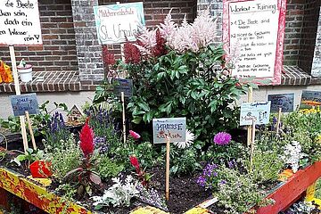 Bild des selbstgebauten Hochbeets der Mädchen. In der Erde stecken schilder welche von ihnen beschriftet wurden.