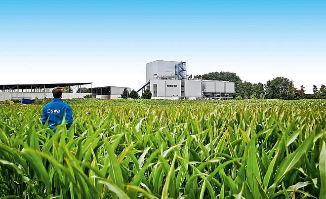 Mann mit blauer swa Jacke steht in einem Feld und schaut zum Biomasse Heizkraftwerk im Hintergrund