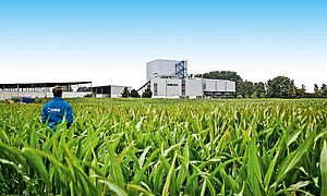 Mann mit blauer swa Jacke steht in einem Feld und schaut zum Biomasse Heizkraftwerk im Hintergrund