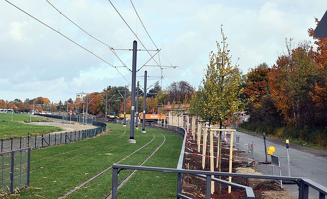 Straßenbahnschienen.