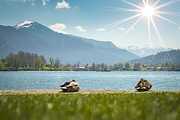 ©Tegernseer Tal Tourismus GmbH/Dietmar Denger