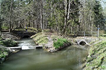 Flussmündung im Wald. - Ein Klick auf das Bild führt zur vergrößerten Fotoansicht.