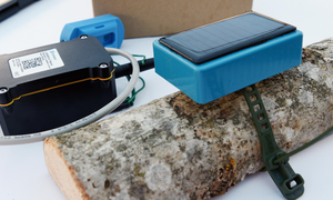 Baumsensor der um einen auf den Tisch liegenden Baumstamm gewickelt ist. Link zu einem Pop-Up mit Infos zur Sensorik und digitalen Vernetzung