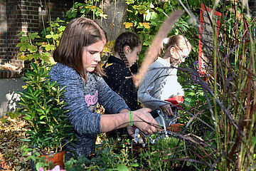 Drei Mädchen sind im Freien bei einer Pflanzaktion. Ein Klick auf das Bild führt zu einer größeren Ansicht.