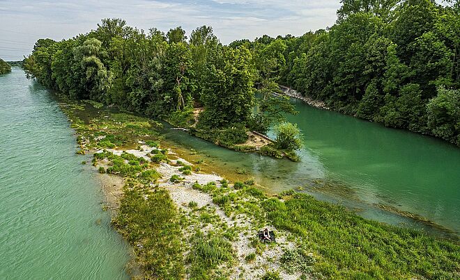 Blick auf den Lech in Augsburg, umgeben von Bäumen und Gräsern.
