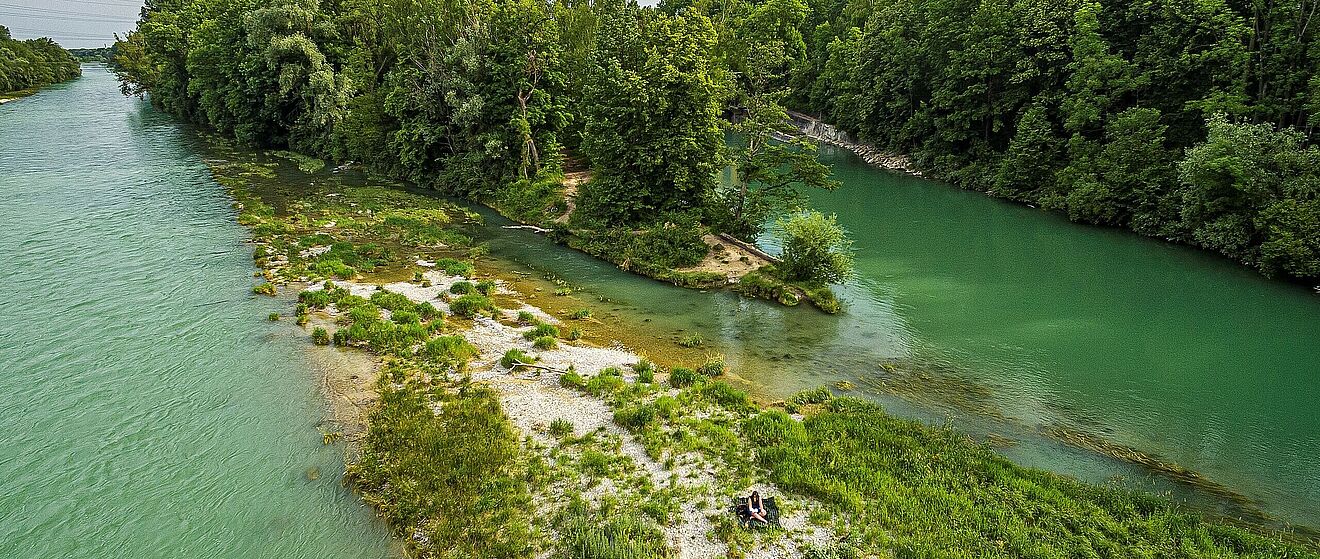 Blick auf den Lech in Augsburg, umgeben von Bäumen und Gräsern.