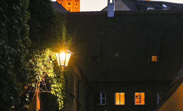 Leuchtende Gaslaterne an einer Hauswand voller Efeu. 