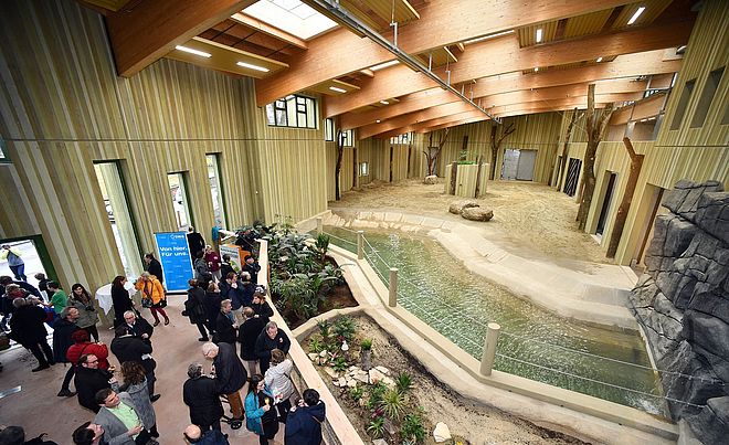 Eine große Gruppe von Menschen nimmt an einem feierlichen Eröffnungs-Event im neuen Elefantenhaus des Augsburger Zoos teil, das durch seine moderne Architektur mit Holzbalken und naturgetreuer Umgebung besticht.