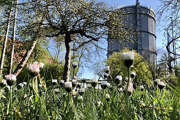 2020_04_16_Gaswerk_Fruehlingsfeature___8_.jpg