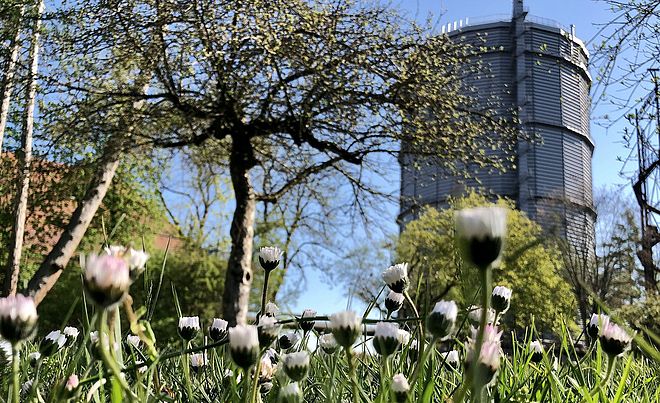 Gaswerk mit Blumenwiese im Vordergrund. Weiterverlinkung auf Frühling im Gaswerksareal Newsartikel