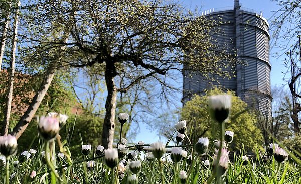 Gaswerk mit Blumenwiese im Vordergrund.