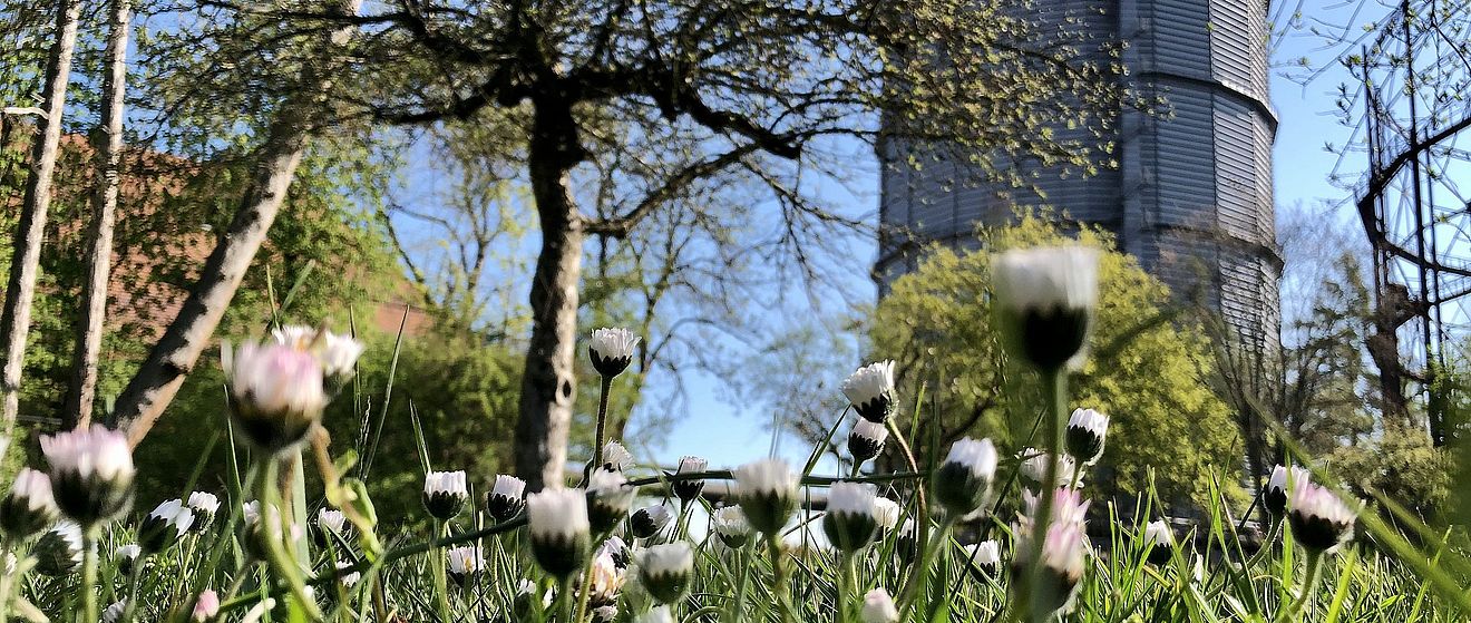 Gaswerk mit Blumenwiese im Vordergrund. Weiterverlinkung auf Frühling im Gaswerksareal Newsartikel