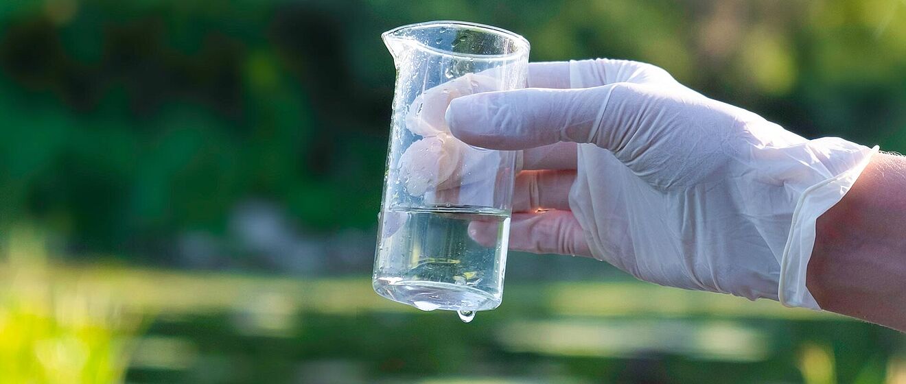 Eine Hand mit Gummihandschuh hält einen Glasmessbecher, der zur Hälfte gefüllt ist.
