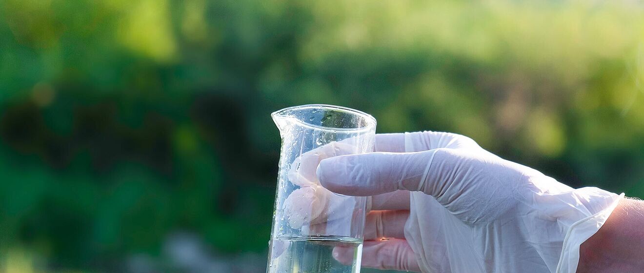 Eine Hand mit Gummihandschuh hält einen Glasmessbecher, der zur Hälfte gefüllt ist.